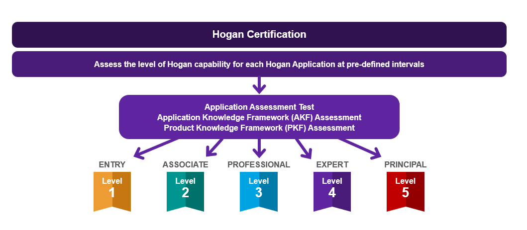 Example of the certification levels graph