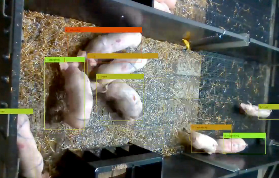 See computer vision in action banner