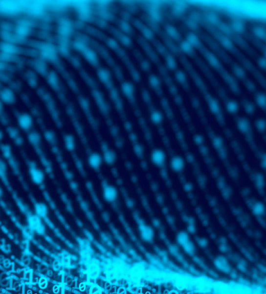 Approaches for delivering you data strategy